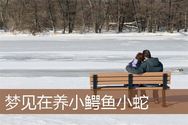 梦见在养小鳄鱼小蛇是什么意思