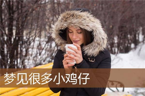 梦见很多小鸡仔是什么意思