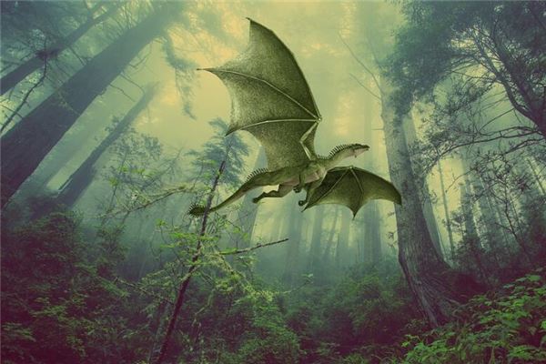 梦见白龙在天上飞是什么意思