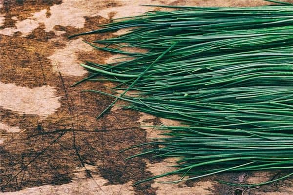 梦见吃韭菜是什么意思