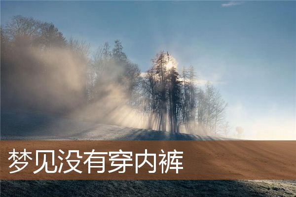 梦见没有穿内裤是什么意思