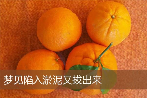 梦见陷入淤泥又拔出来是什么意思