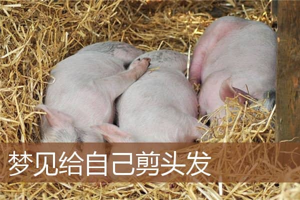 梦见给自己剪头发是什么意思