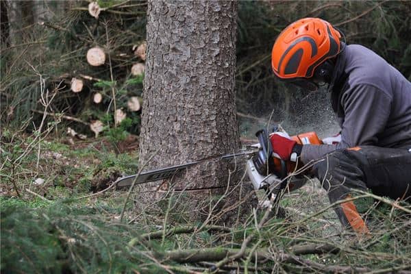梦见别人锯树是什么意思