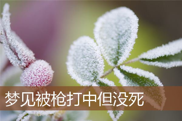 梦见被枪打中但没死是什么意思