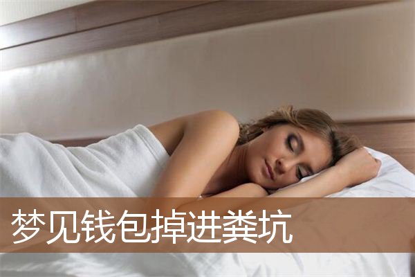 梦见钱包掉进粪坑是什么意思