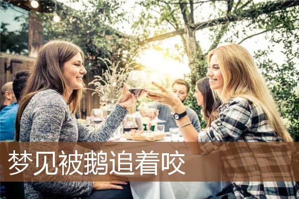 梦见被鹅追着咬是什么意思