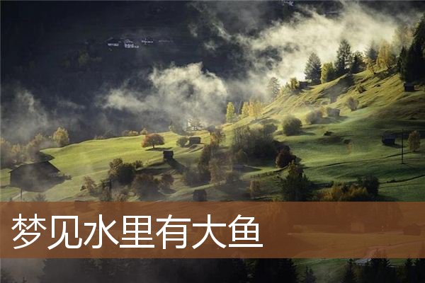 梦见水里有大鱼是什么意思