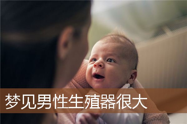 梦见男性生殖器很大是什么意思