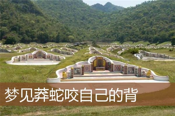 梦见莽蛇咬自己的背是什么意思