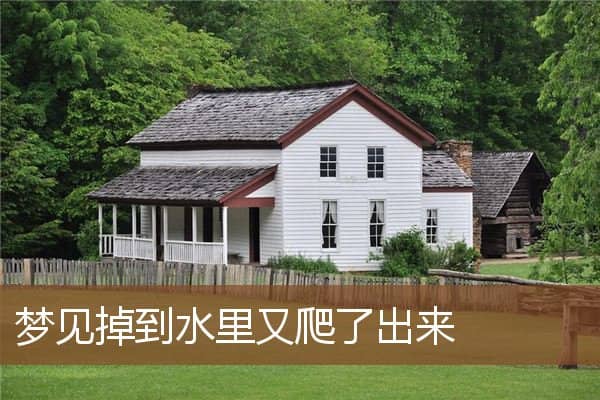 梦见掉到水里又爬了出来是什么意思