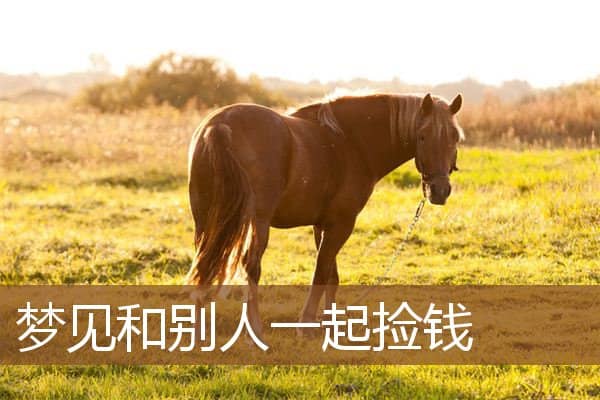 梦见和别人一起捡钱是什么意思