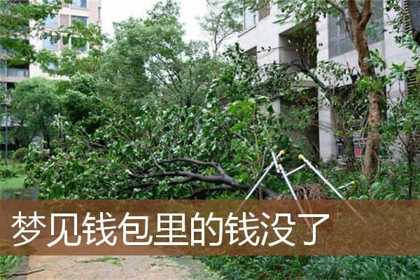 梦见钱包里的钱没了是什么意思