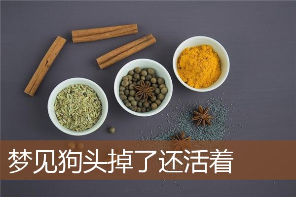 梦见狗头掉了还活着是什么意思