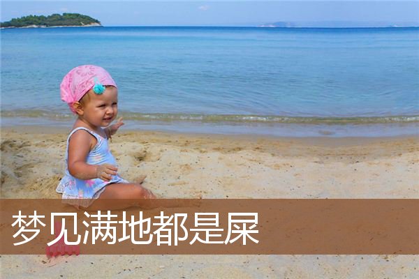 梦见满地都是屎是什么意思