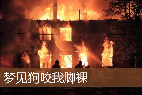 梦见狗咬我脚裸是什么意思