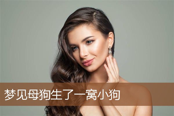 梦见母狗生了一窝小狗是什么意思