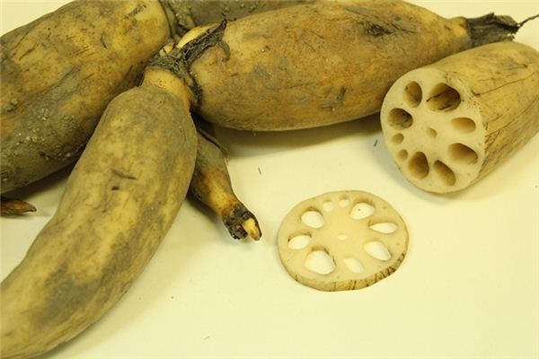 梦见挖莲藕是什么意思