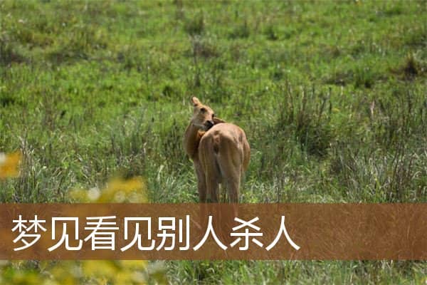 梦见看见别人杀人是什么意思