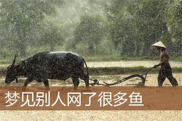 梦见别人网了很多鱼是什么意思
