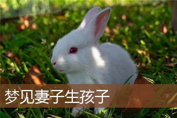 梦见妻子生孩子是什么意思