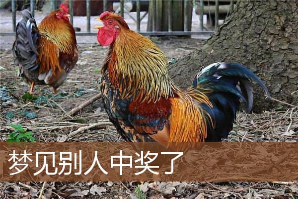 梦见别人中奖了是什么意思