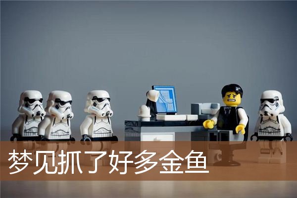 梦见抓了好多金鱼是什么意思