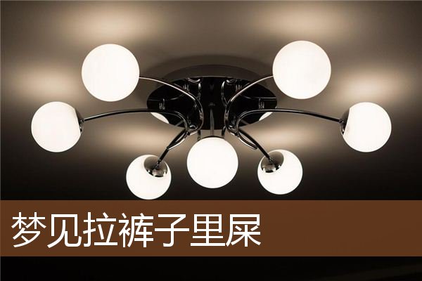 梦见拉裤子里屎是什么意思