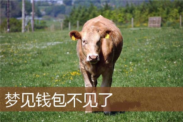 梦见钱包不见了是什么意思