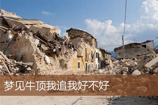 梦见牛顶我追我好不好是什么意思