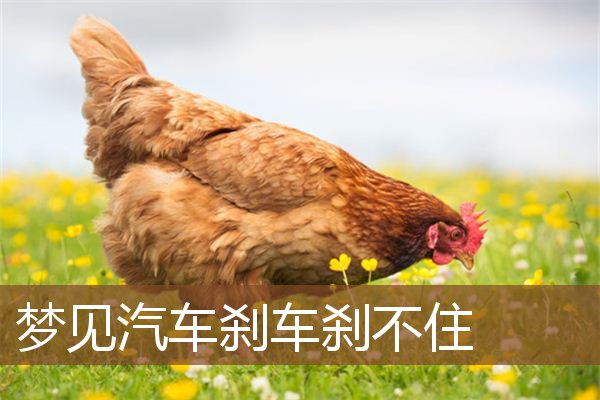 梦见汽车刹车刹不住是什么意思