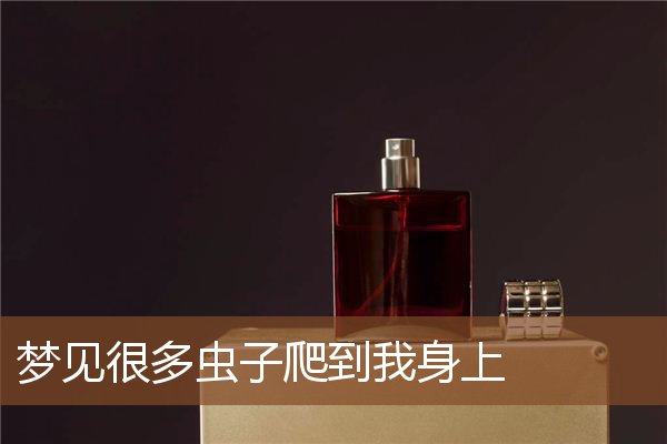 梦见很多虫子爬到我身上是什么意思