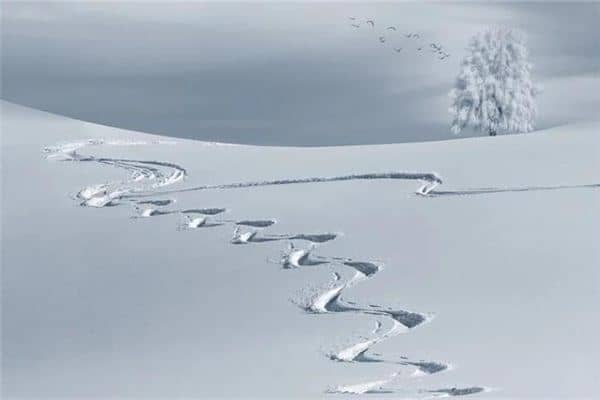 孕妇梦见雪地里行走是什么意思