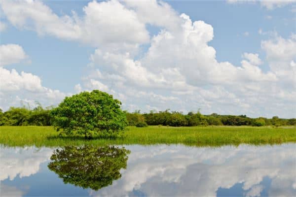 孕妇梦见户外自然是什么意思