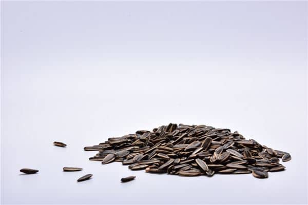 孕妇梦见吃瓜子是什么意思