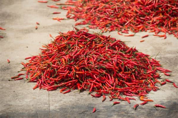 孕妇梦见辣椒是什么意思