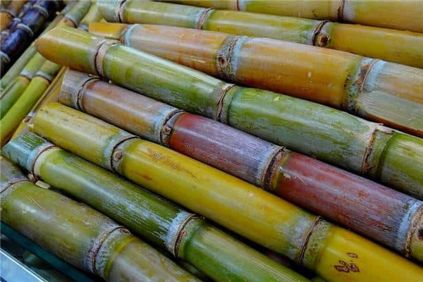 孕妇梦见甘蔗是什么意思