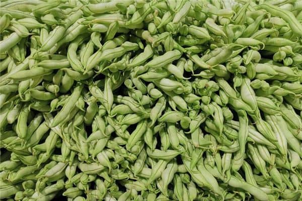 孕妇梦见豆角生女孩吗是什么意思