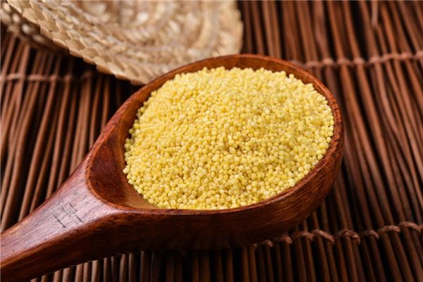 梦见粮食:见粮食财运旺