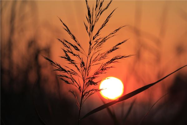 为什么记录我们的梦呢?