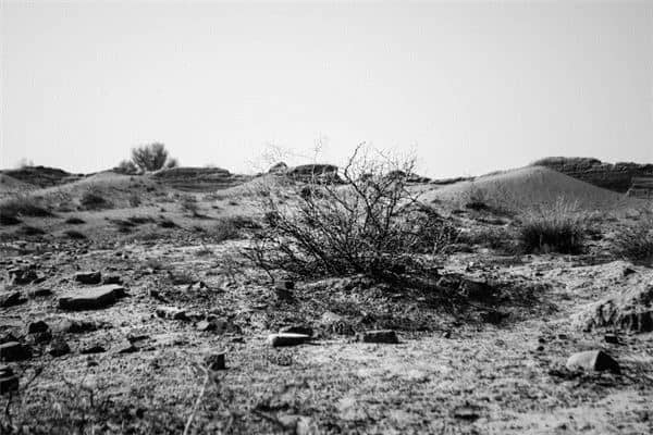 梦见荒地:生活陷入困境