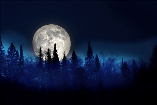 梦有五不占,占有五不验