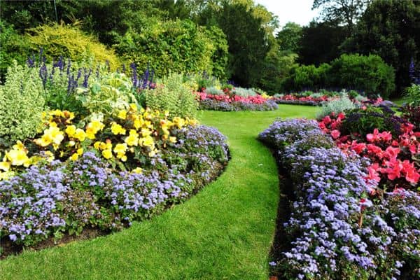 梦见花园:鲜花盛开有好运