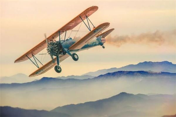 梦见飞机:飞机降落,事情成功