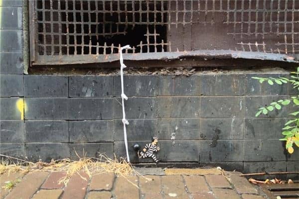 梦见越狱:走出生活的困境