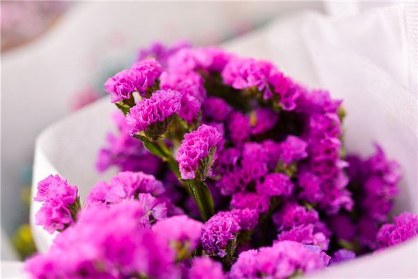 梦见鲜花:得花为吉,送花为凶