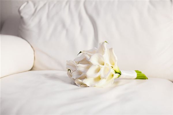 梦见百合花:百合花开,爱情美满