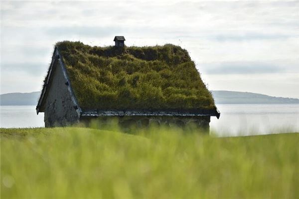 梦见屋顶：房顶有贼，将要发财