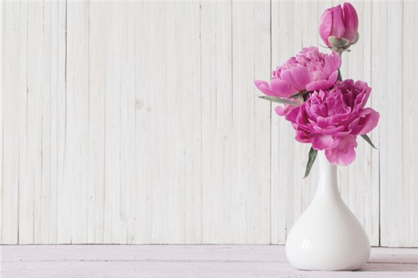 梦见牡丹:牡丹花开,大富大贵