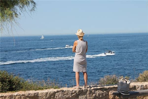 因梦是什么意思